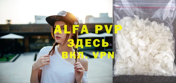 гашик Краснослободск
