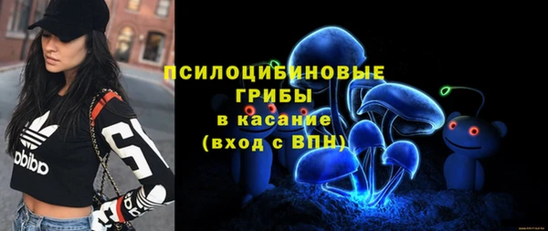 гашик Краснослободск