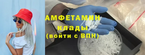 гашик Краснослободск