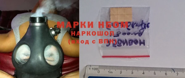 гашик Краснослободск