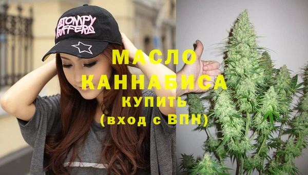 гашик Краснослободск