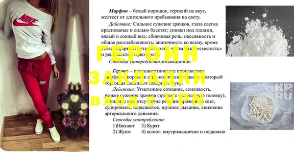 гашик Краснослободск