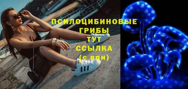 Альфа ПВП Кулебаки