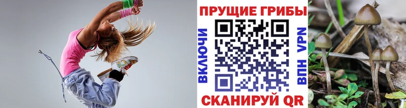 Купить  Ковдор  Галлюциногенные грибы GOLDEN TEACHER 