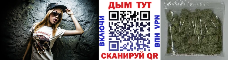 Купить закладки  Ковдор  Конопля марихуана 